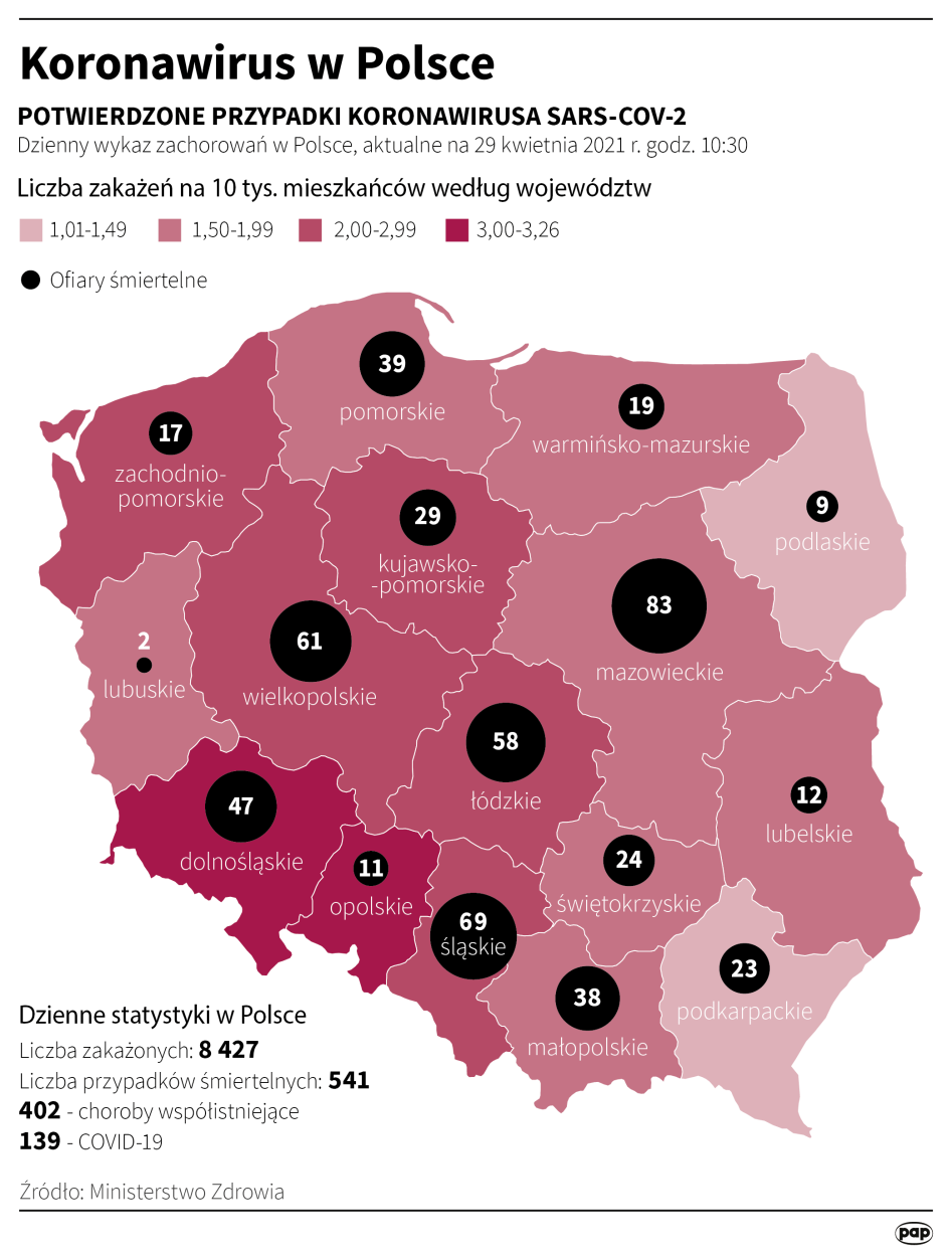 Fot. PAP/Maciej Zieliński