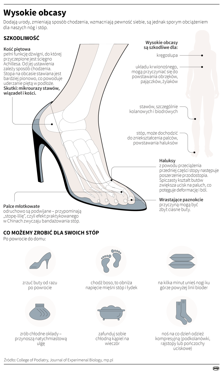 Fot. PAP/ Anna Zajkowska, Maria Samczuk Fot. PAP/ Anna Zajkowska, Maria Samczuk