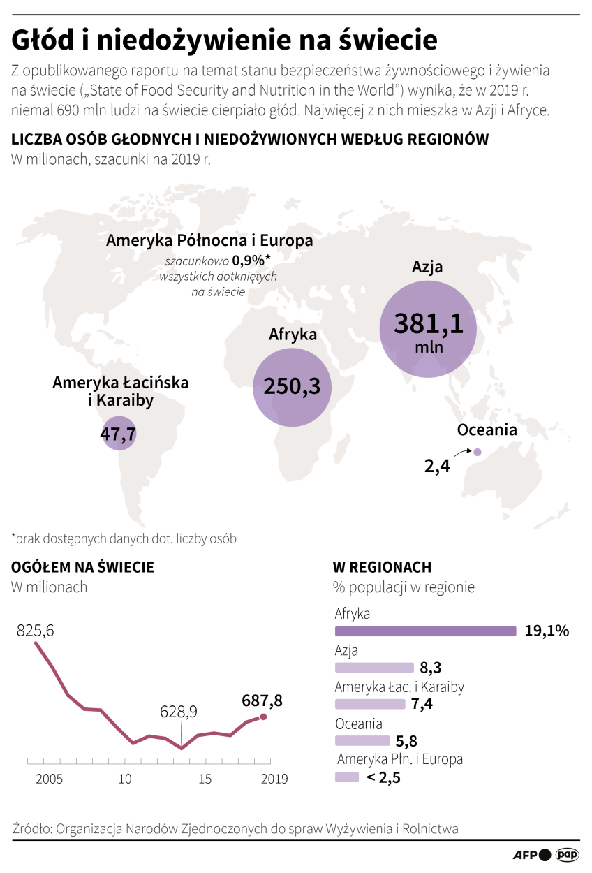 Fot. PAP/Adam Ziemienowicz Fot. PAP/Adam Ziemienowicz