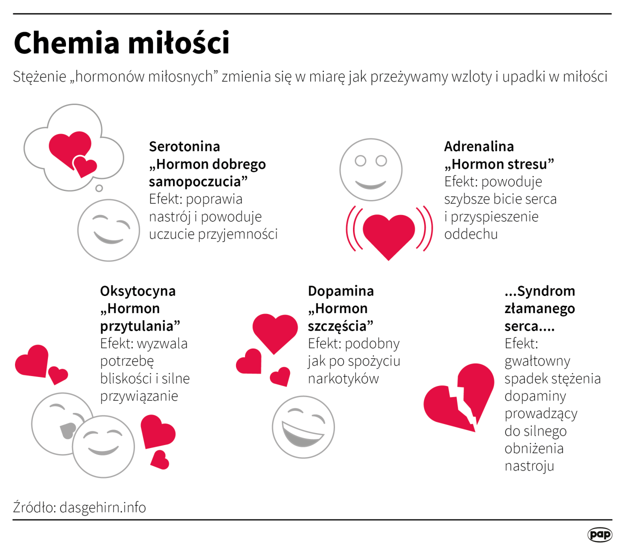 Fot. PAP/Maria Samczuk , Maciej Zieliński Fot. PAP/Maria Samczuk , Maciej Zieliński