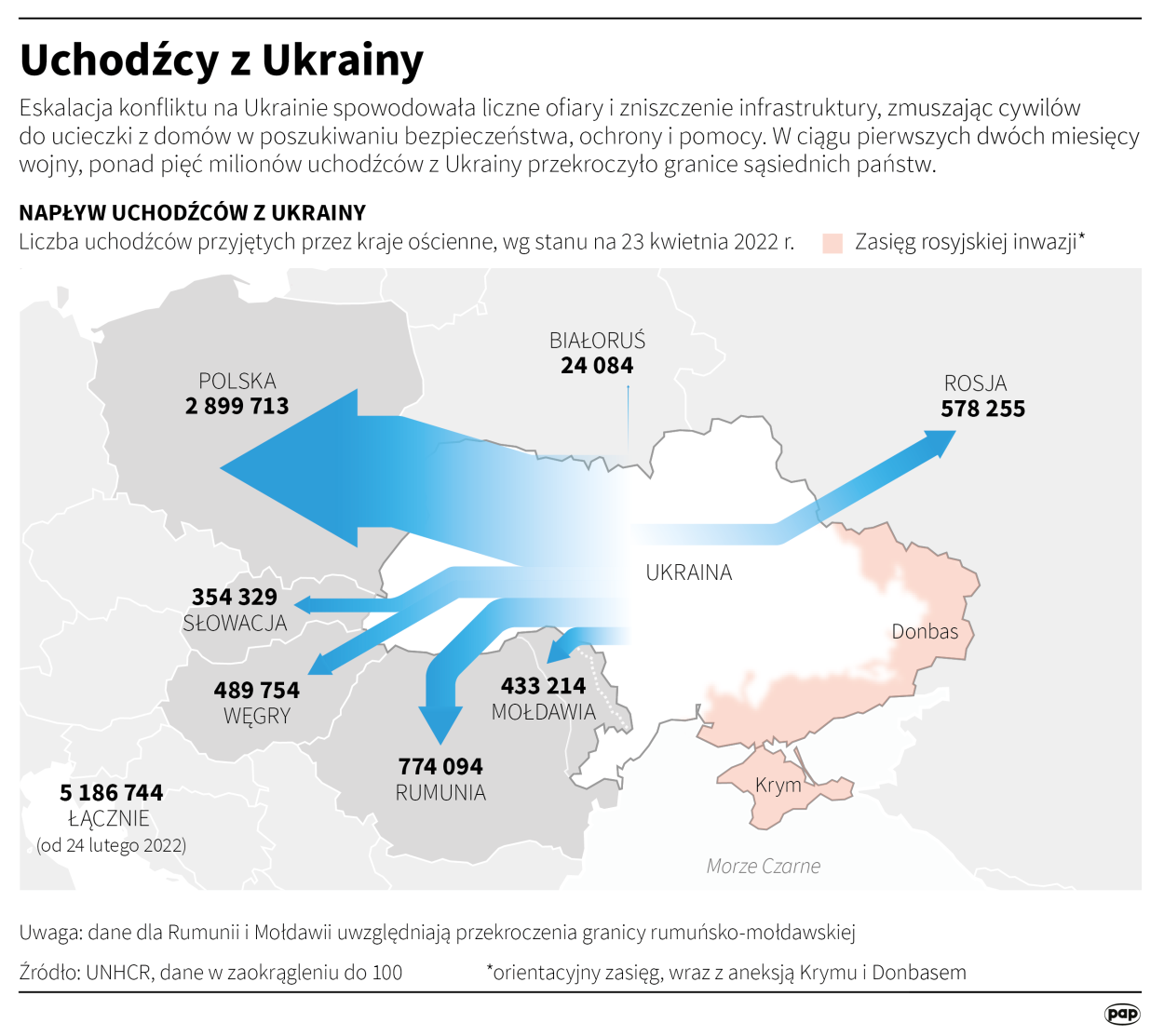 Fot. PAP/Adam Ziemienowicz