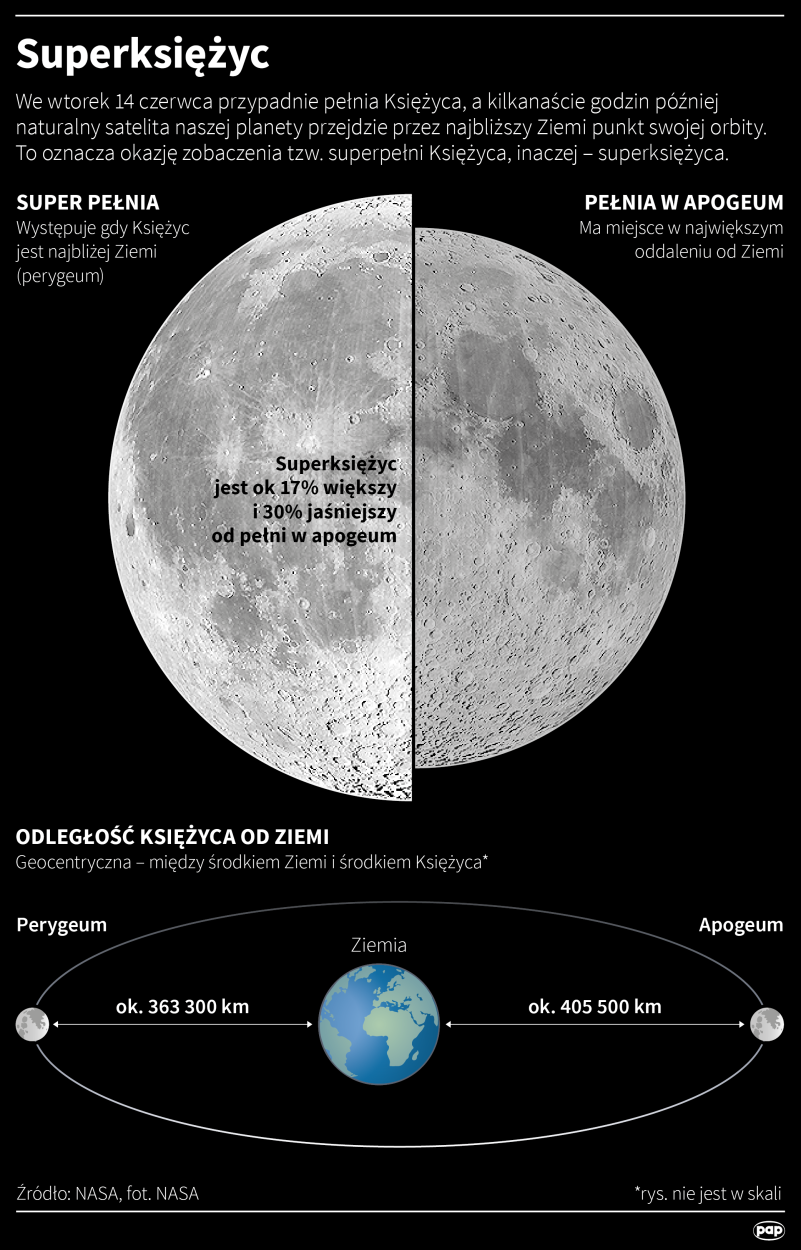 Fot. PAP/Maciej Zieliński