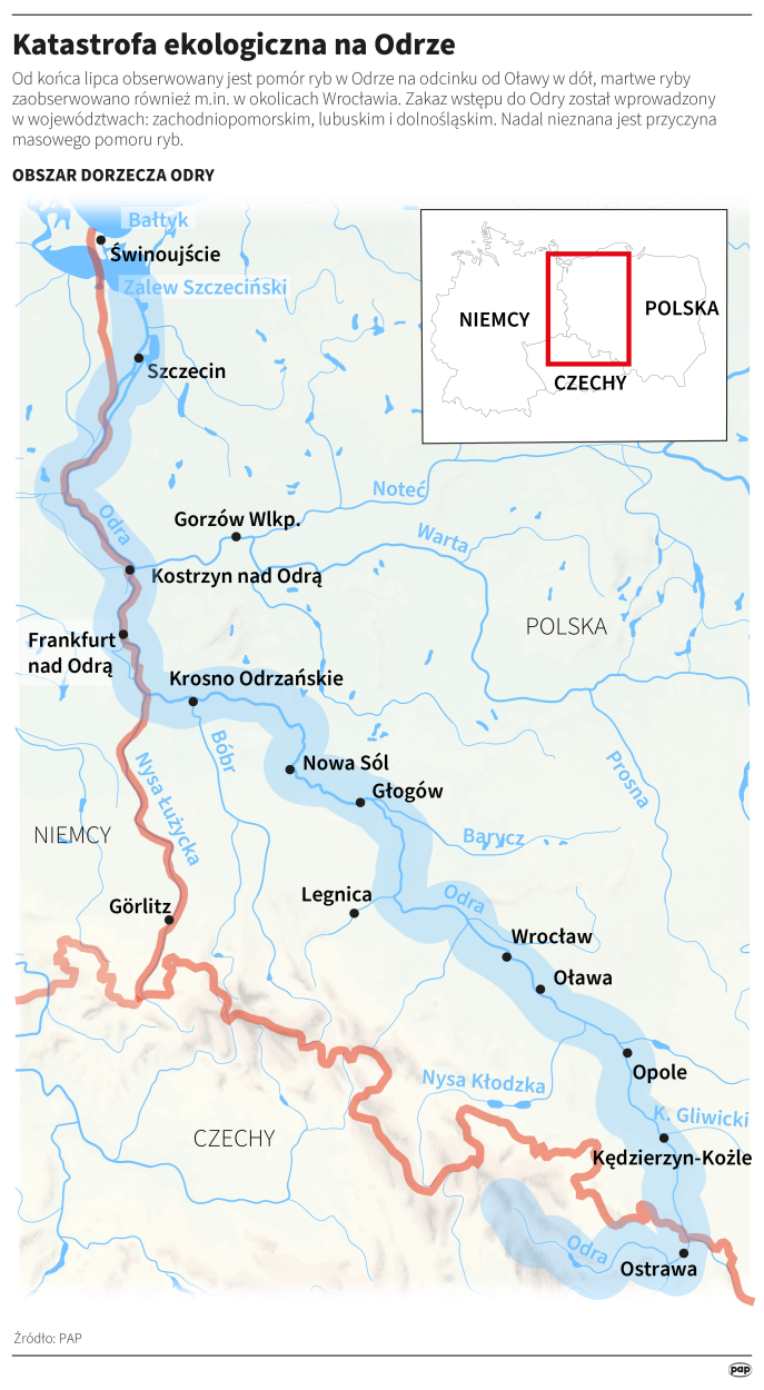 Fot. PAP/Adam Ziemienowicz Fot. PAP/Adam Ziemienowicz