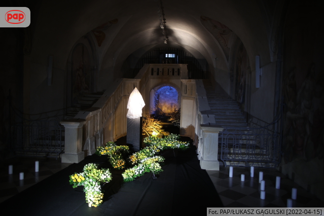 Fot. PAP/Łukasz Gągulski