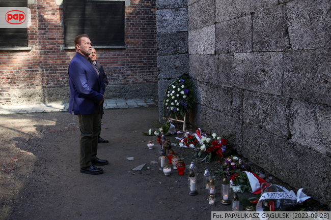 Fot. PAP/Łukasz Gągulski