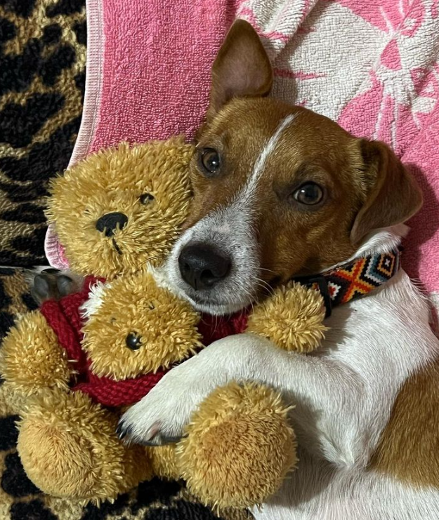 Fot. Instagram/patron_dsns