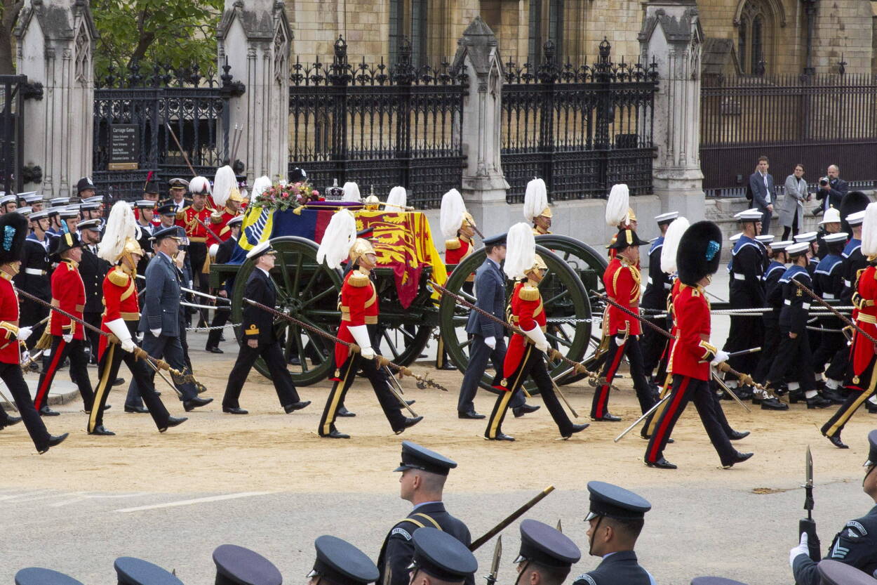 Fot. Joshua Bratt / PAP Avalon