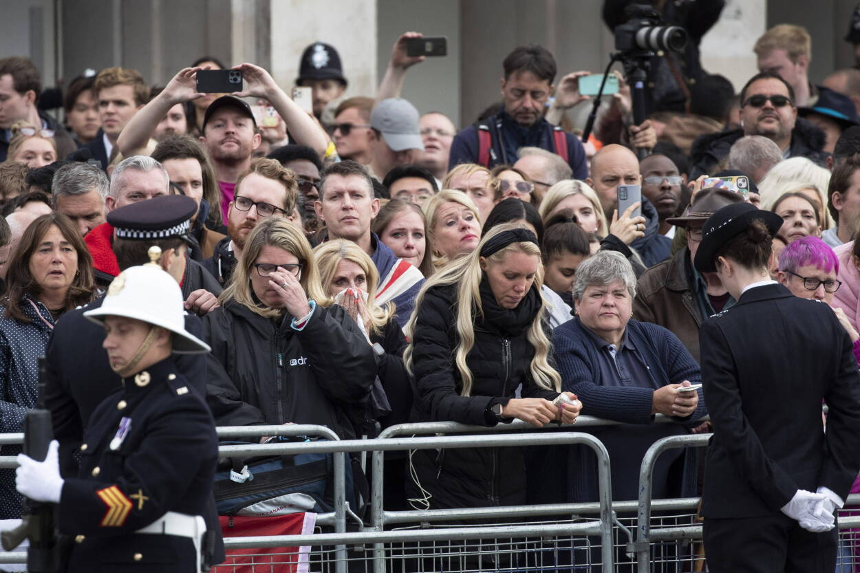 Fot. Joshua Bratt / PAP Avalon