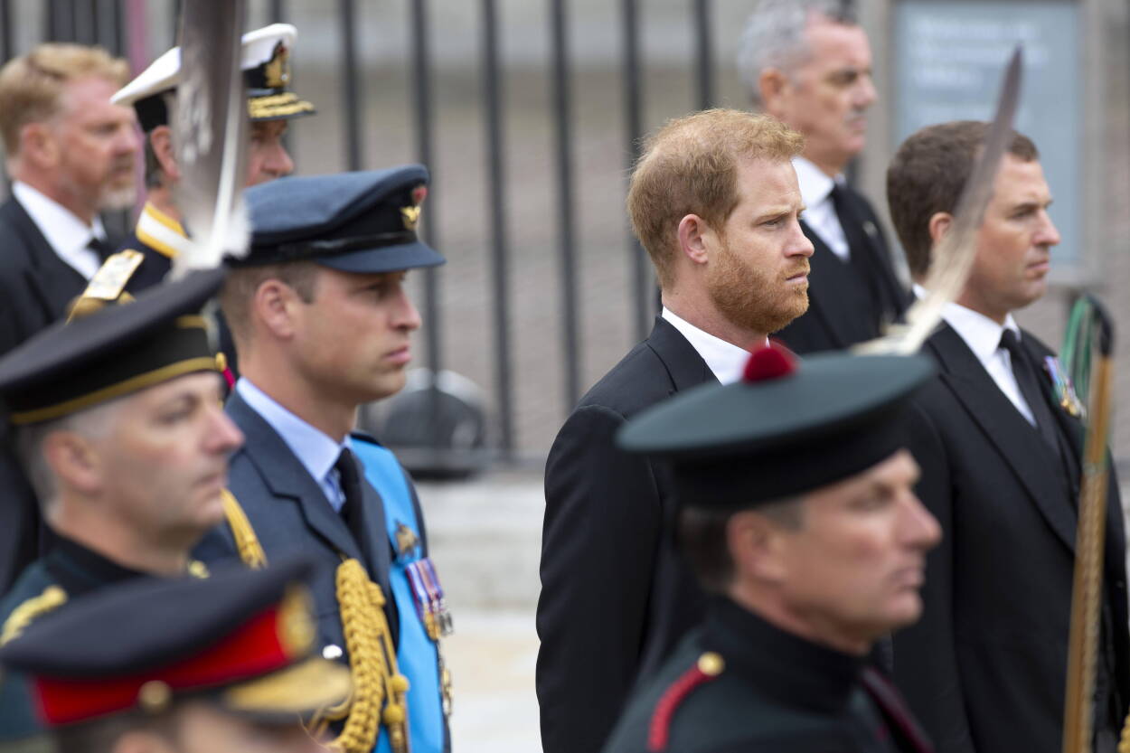 Fot. Steve Bainbridge / PAP Avalon