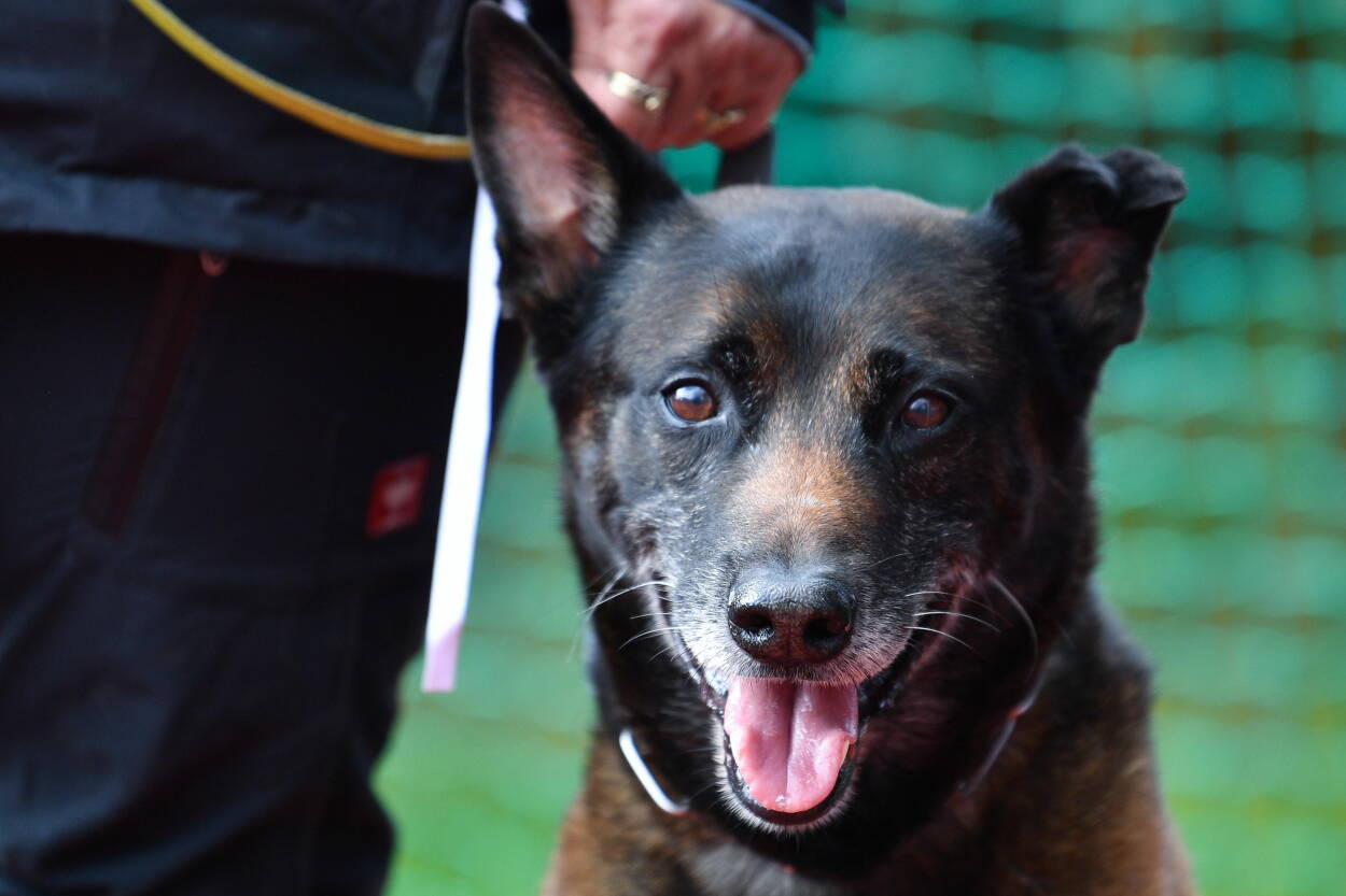 Fot. PAP/Piotr Polak