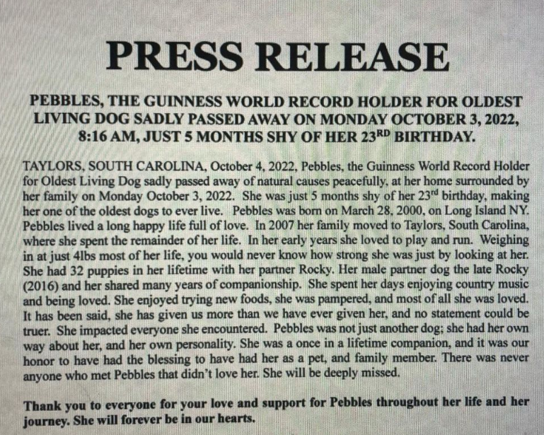 Informacja właścicieli o śmierci psa, Fot. Instagram