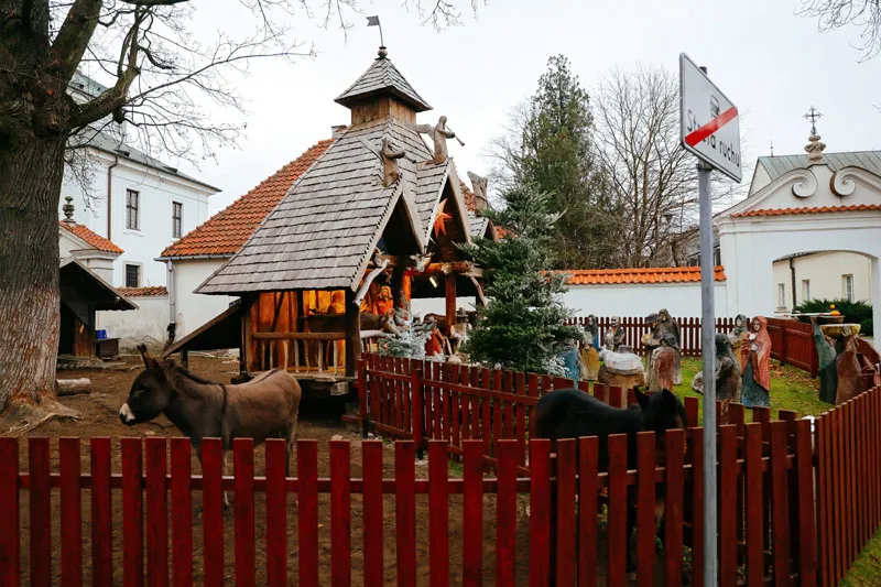 Całoroczna szopka autorstwa rzeźbiarza Józefa Wilkonia przy Kościele Pokamedulskim bł. Edwarda Detkensa na warszawskich Bielanach. Jej częścią jest wybeg z żywymi zwierzętami. Fot. PAP/Albert Zawada