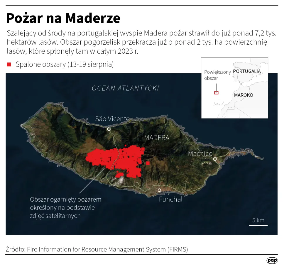 Autor: PAP/Adam Ziemienowicz