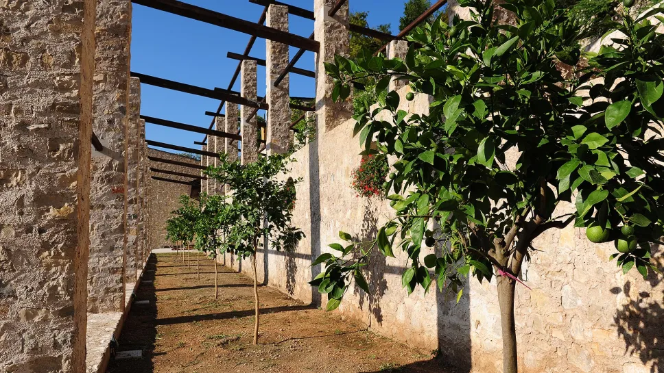 Źródło: Visitlimonesulgarda.com