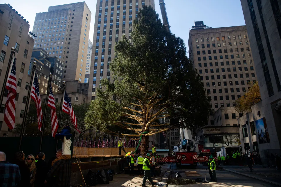 Fot. PAP/EPA/JULIUS CONSTANTINE MOTAL