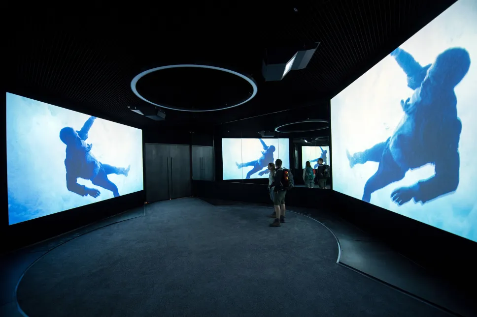 Fot. PAP/EPA/DANIEL KOPATSCH