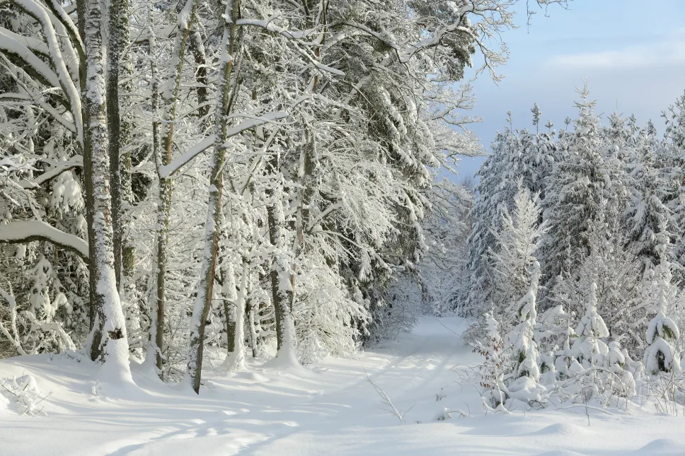 Zasypana droga w woj. warmińsko-mazurskim Fot. PAP/Tomasz Waszczuk