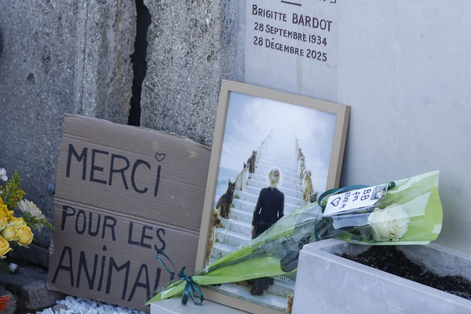 Fot. EPA/SEBASTIEN NOGIER