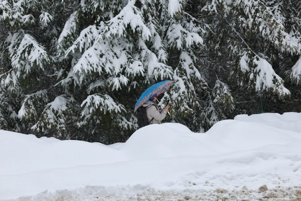 Powrót zimy w Zakopanem. Fot. PAP/Grzegorz Momot