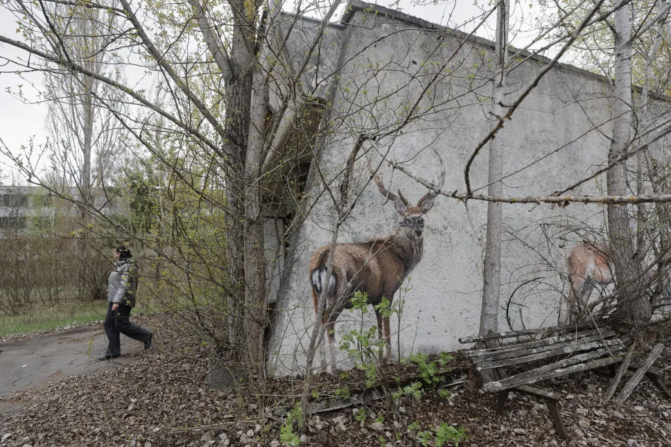Opuszczone miasto Prypeć w pobliżu elektrowni w Czarnobylu. Fot. PAP/EPA/SERGEY DOLZHENKO 