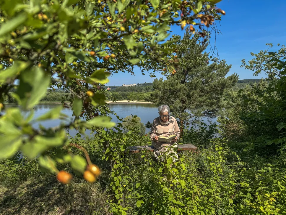 Małgorzata Szejnert. Fot. Tomasz Sikora