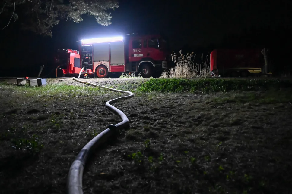 Pożar lasu na Lubelszczyźnie Fot. PAP/Wojtek Jargiło