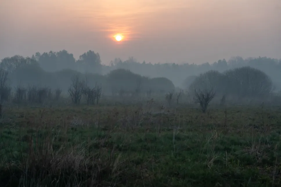 Pożar lasu w okolicach miejscowości Józefów Fot. PAP/Wojtek Jargiło