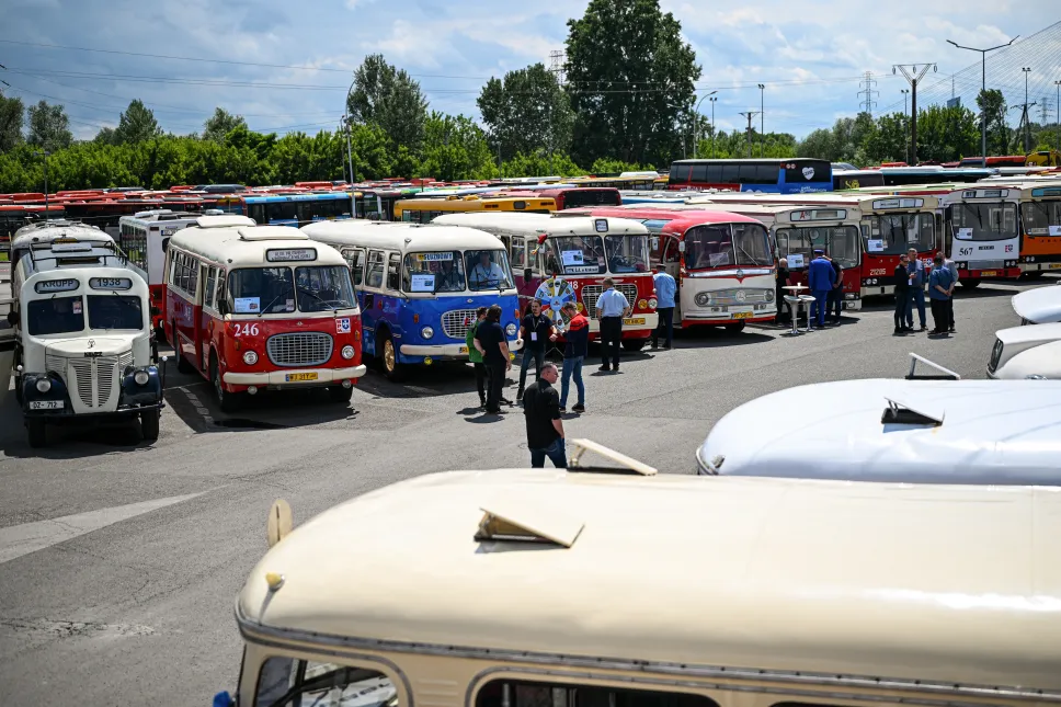 II Zlot Zabytkowych Autobusów w Rzeszowie. Fot. PAP/Darek Delmanowicz