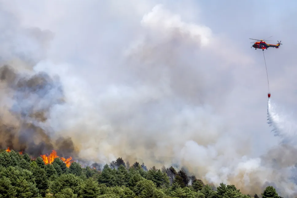 Płonący las w prowincji La Mierla Fot. PAP/EPA/Nacho Izquierdo