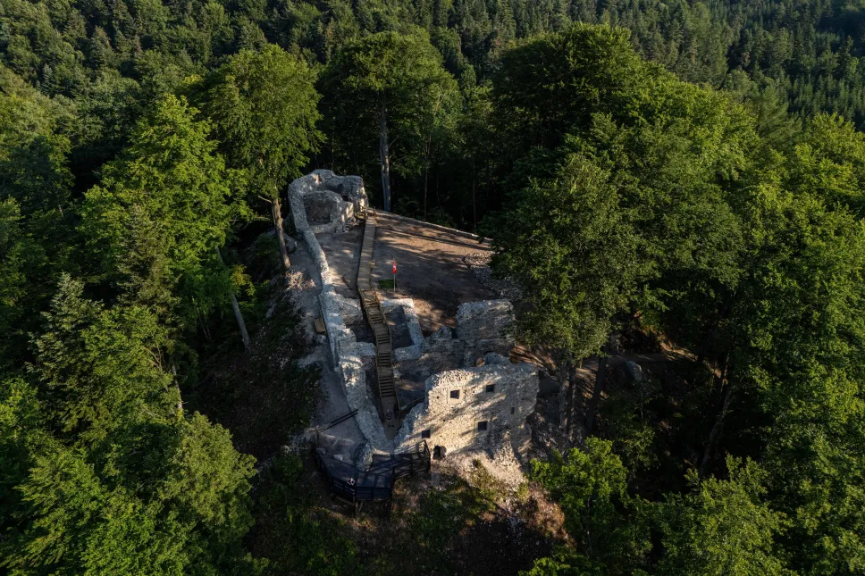 Ruiny Zamku Sobień. Fot. PAP/Darek Delmanowicz