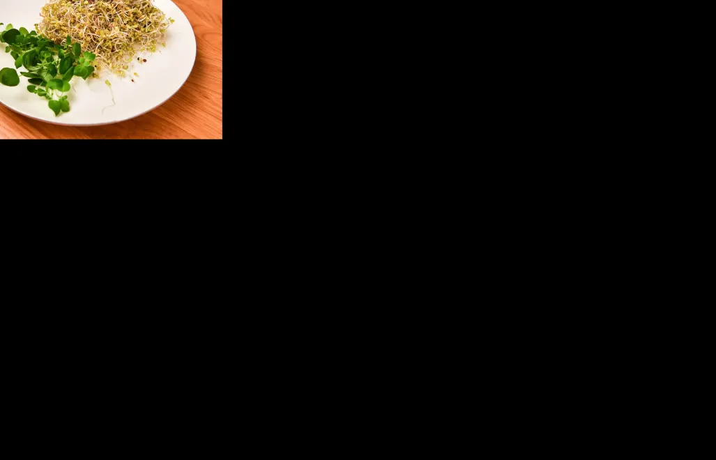 Fot.  PAP/Andrzej Lange