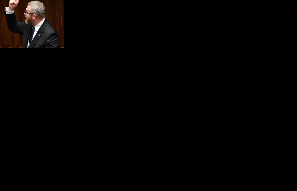 Grzegorz Braun, fot. PAP/Radek Pietruszka