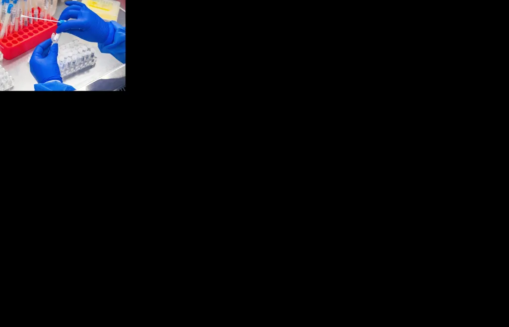 Zdjęcie ilustracyjne. Fot. PAP/EPA/SASCHA STEINBACH 