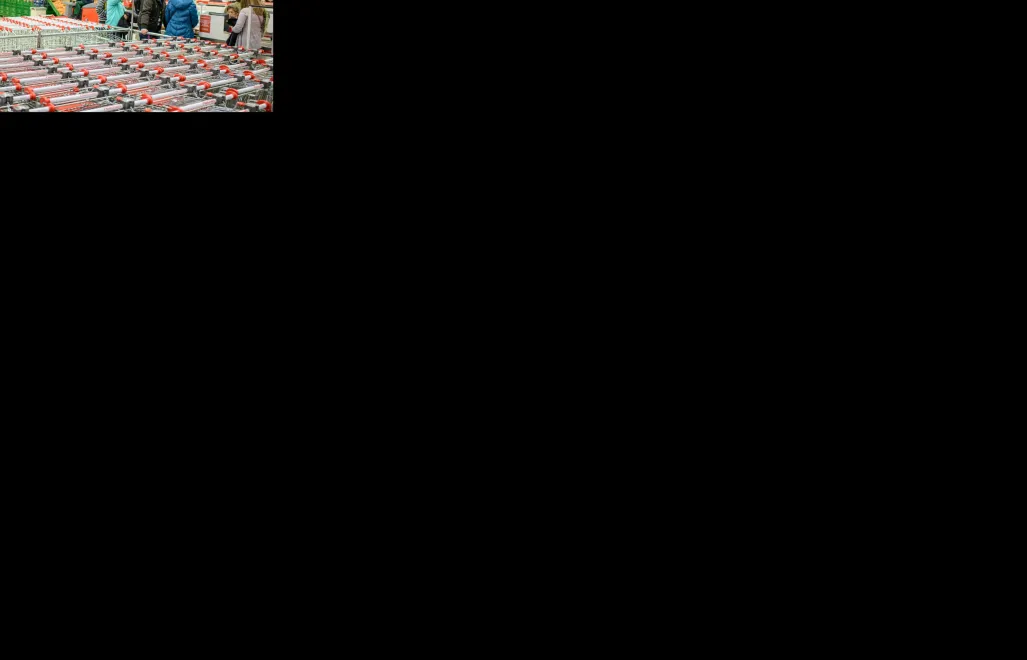 Fot. PAP/Wojciech Pacewicz