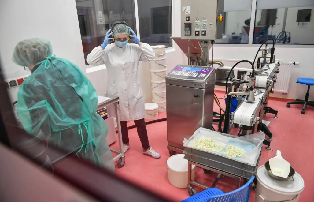 Fot. PAP/Wojtek Jargiło