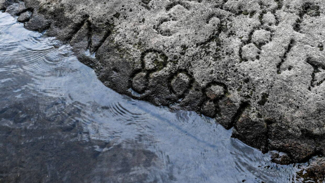 Niski stan wód w Niemczech, widać "kamienie głodu" Fot. Filip Singer/PAP/EPA