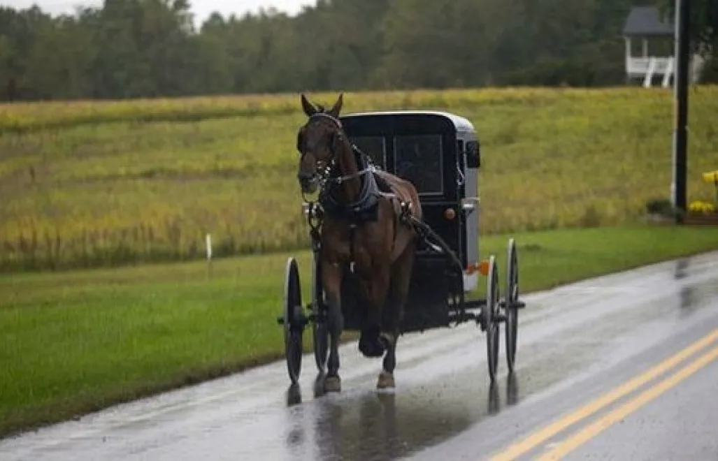 Amisze nie uznają nowoczesnej techniki Fot. Facebook/AmishWays