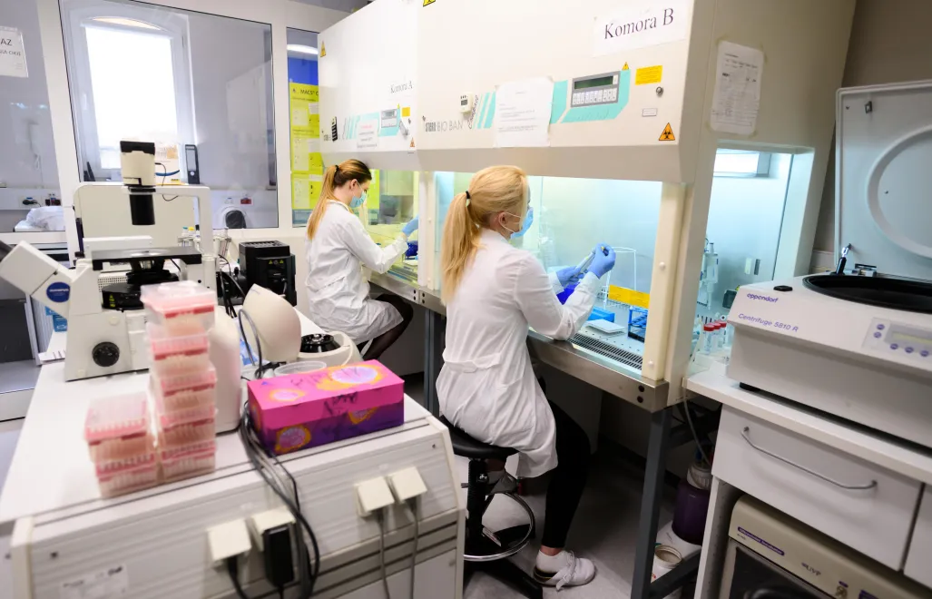 Fot. PAP/ Jakub Kaczmarczyk (zdjęcie ilustracyjne)