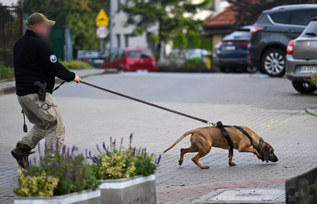 Obława w Gdyni. Fot. PAP/Adam Warżawa