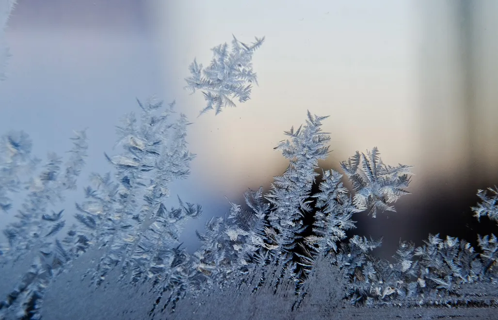 Mróz na szybach na Podlasiu Fot. PAP/Wojciech Pacewicz