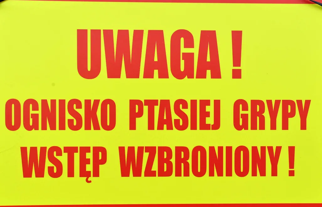 (zdjęcie ilustracyjne), fot. PAP/	Marcin Bielecki