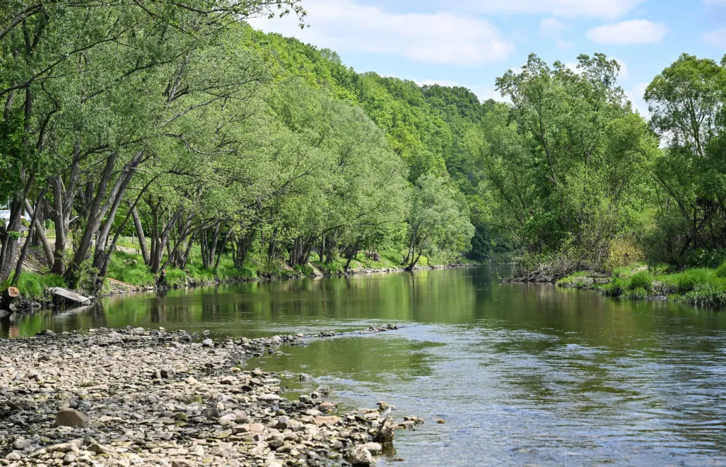 Rzeka (zdjęcie ilustracyjne). Fot. PAP/Maciej Kulczyński