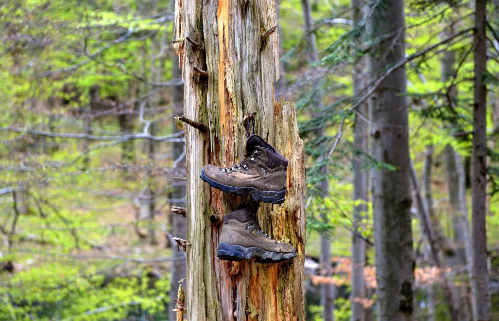 Buty trekkingowe na szlaku prowadzącym nad Jeziorka Duszatyńskie Fot. PAP/Darek Delmanowicz