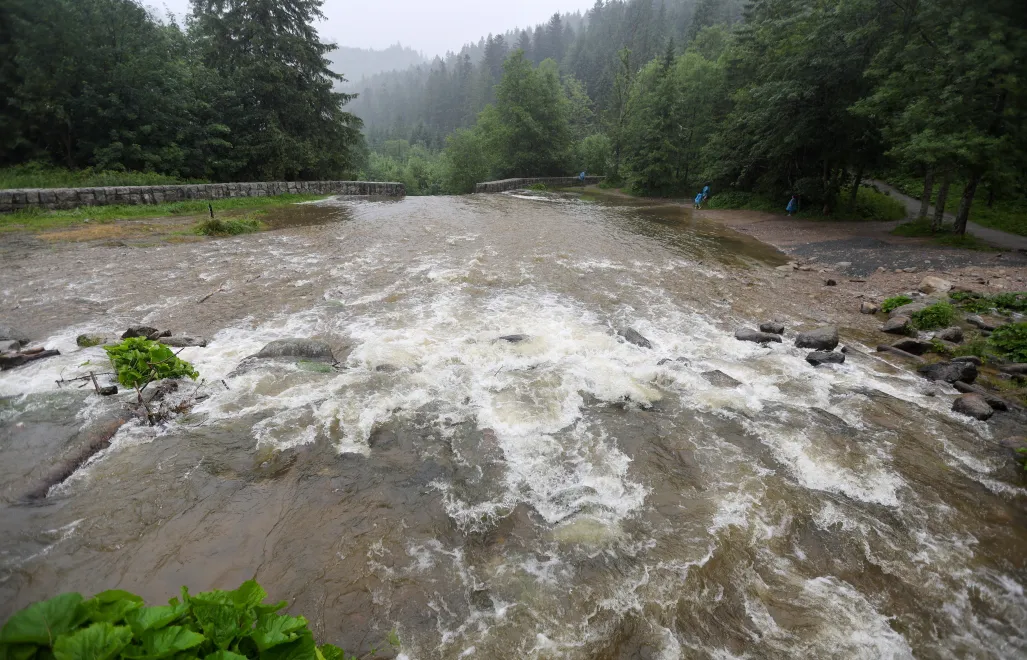 Wezbrany górski potok Fot. PAP/Grzegorz Momot