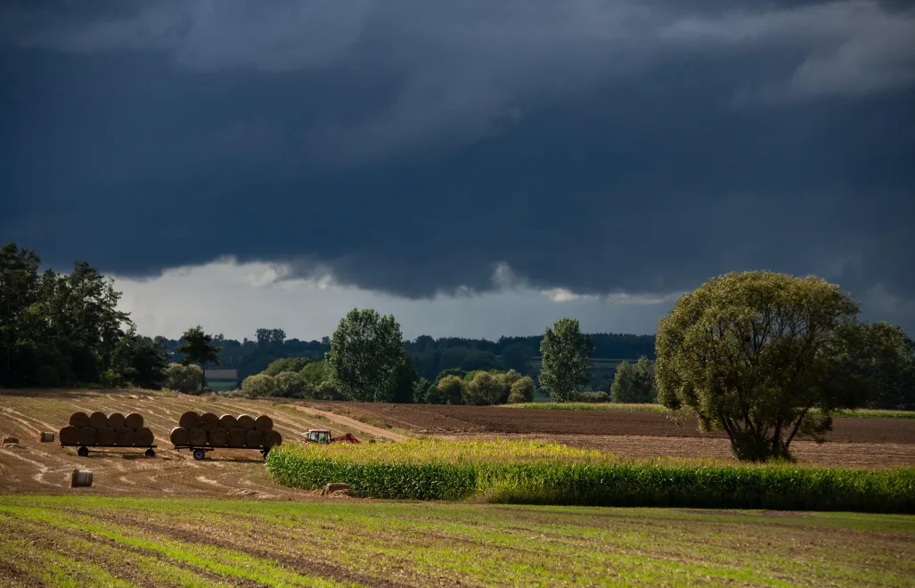  Rolnik zwozi bele słomy z pola przed nadchodzącą burzą Fot. PAP/Michał Zieliński