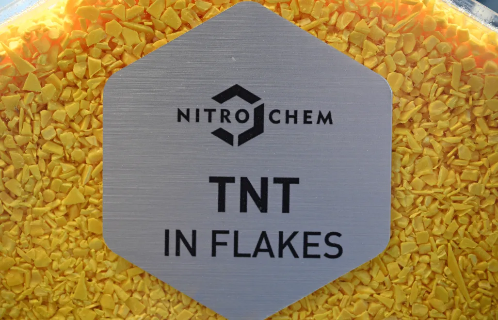 Photo: PAP/Radek Pietruszka