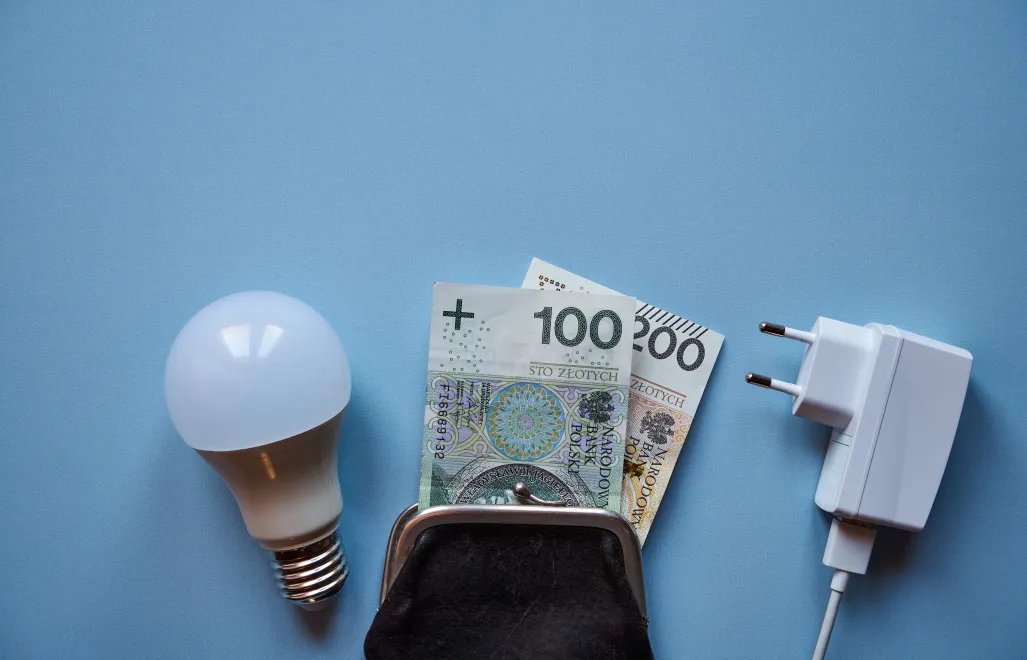 Prezes URE: średnia cena w taryfach na energię elektryczną od 1 stycznia 495 zł za MWh. Fot. Adobe Stock/Marcin Łazarczyk