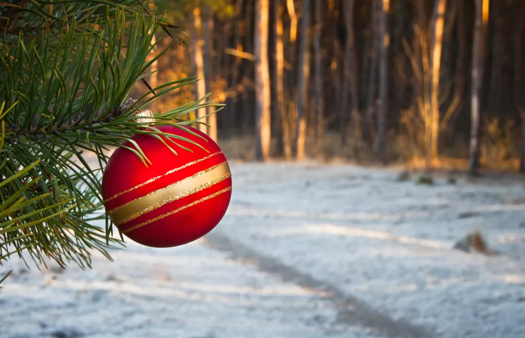 W Wigilię niewielkich opadów śniegu można spodziewać się w rejonach górskich. Fot. Adobe Stock/Mariusz Stoszewski