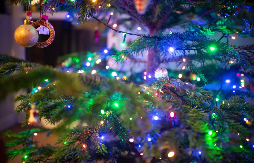 Świąteczna choinka. Fot. PAP/Andrzej Lange