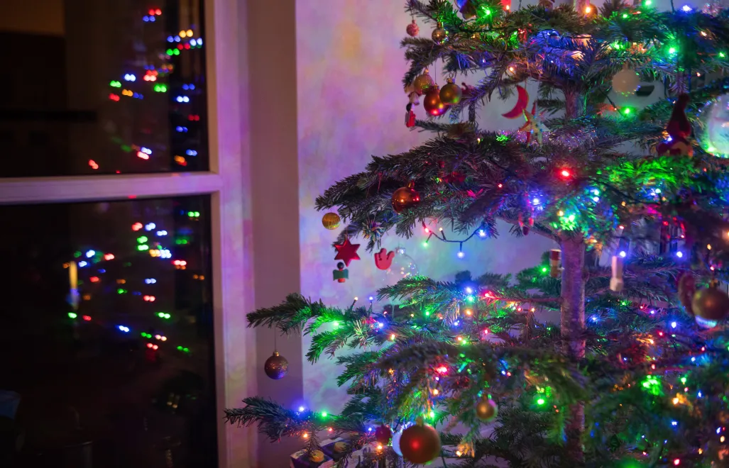 Fot. PAP/Andrzej Lange